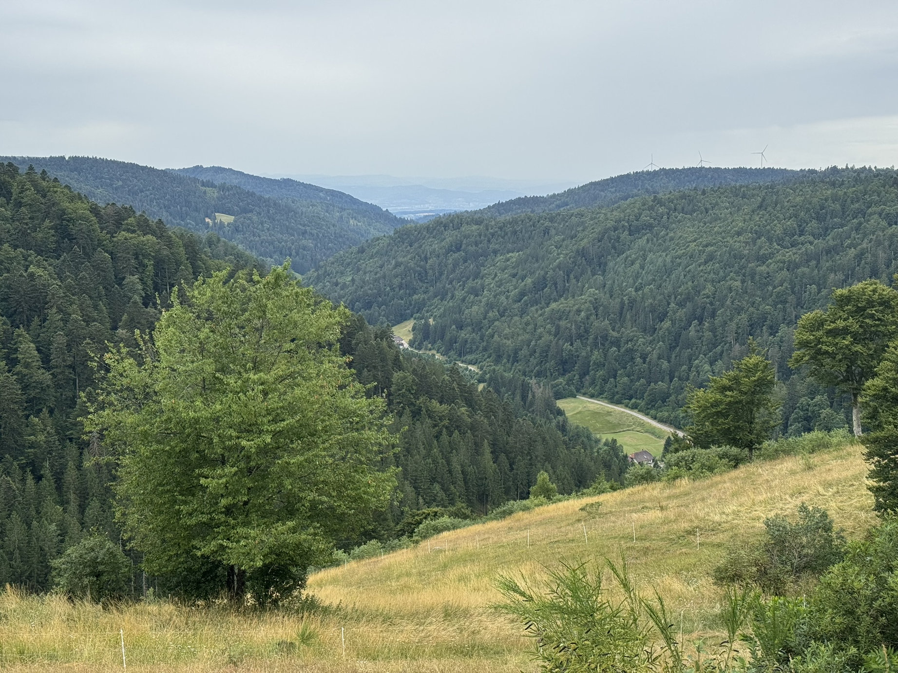 IMG 7970