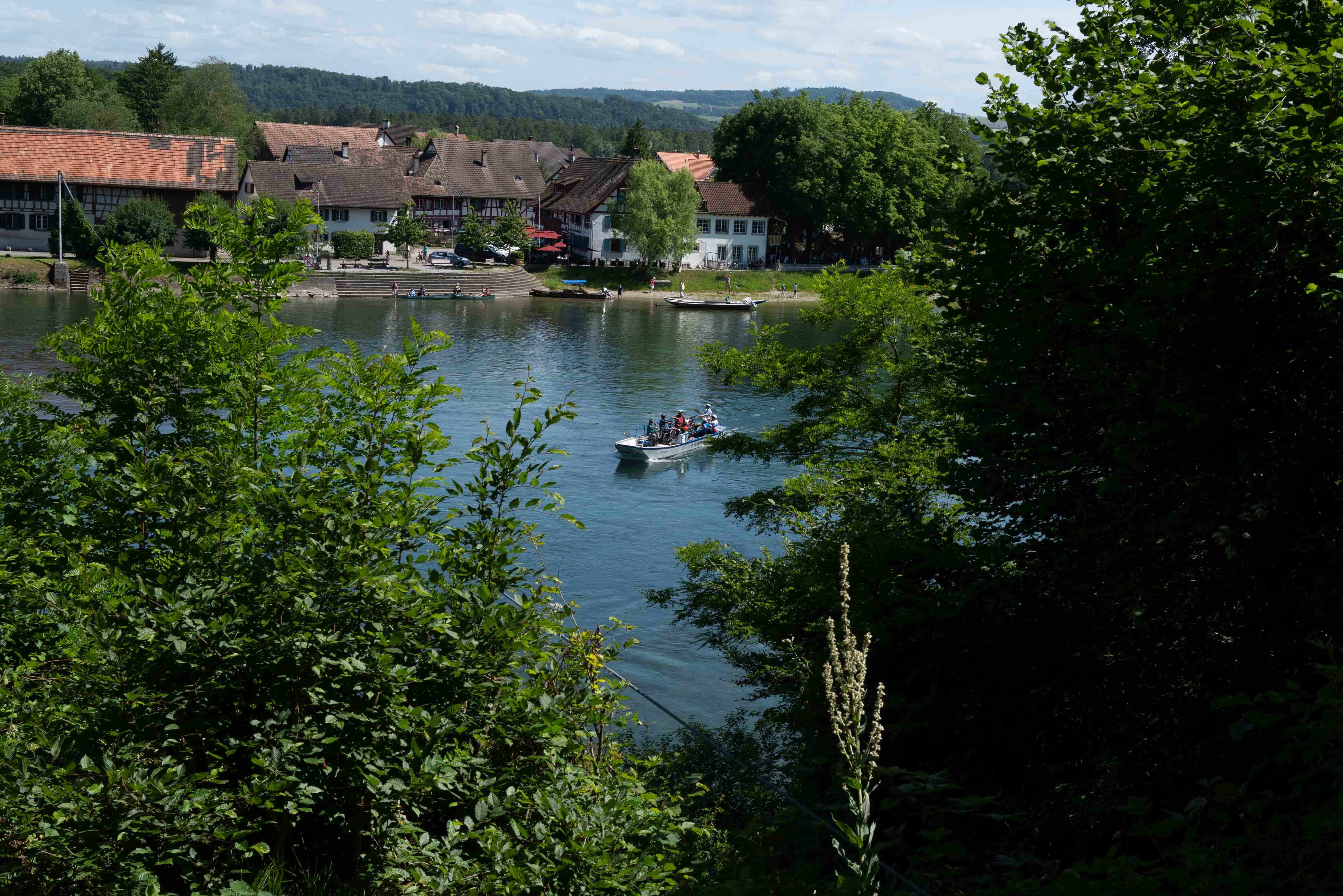 L1003935